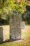 Unmarked gravestones in a sunny cemetery.