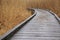 Unmarked wooden walkway through invasive grasses