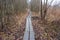 Unmarked wooden walkway through mud with person