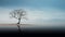 Unoccupied: A Minimalistic Nature Photography Image Of A Lone Tree Surrounded By Water