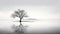 Unoccupied: A Minimalistic Nature Photography Image Of A Single Tree On A Calm Lake