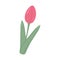 Unopened tulip bud in trendy soft shades in flat style. 8 March. Happy women day. Sticker. Icon.