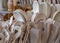 Unpainted spoons made of solid wood are available for sale in a large group