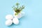 Unpainted white easter eggs with green leaves on a branch