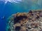 Unparalleled levels of marine diversity. Misool, Raja Ampat, Indonesia