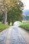 Unpaved country road and pasture