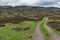 Unpaved country road in Scottish Highlands near Loch Tay