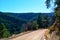 Unpaved Dirt Mountain Road on the Edge of a Cliff in a Pine Tree