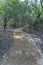 Unpaved dirt road along trees at Bull Creek Austin Texas on a sunny day