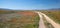 Unpaved dirt road through California Golden Orange Poppies under blue sky in the high desert of southern California