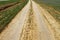 Unpaved dry dirt country road in steppe, offroad drive