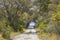 Unpaved Road And Trail At Kissimmee Prairie Preserve State Park