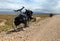 Unpaved road and two bicycles near Son-Kul lake