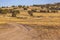 Unpaved trail winding through a vast grassy terrain viewed on a sunny day