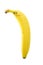 Unpeeled Banana