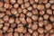 Unpeeled hazelnuts background texture. hazelnuts in shell