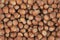 Unpeeled hazelnuts background texture. hazelnuts in shell