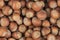 Unpeeled hazelnuts background texture. hazelnuts in shell