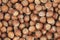 Unpeeled hazelnuts background texture. hazelnuts in shell