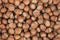 Unpeeled hazelnuts background texture. hazelnuts in shell