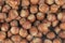 Unpeeled hazelnuts background texture. hazelnuts in shell