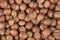 Unpeeled hazelnuts background texture. hazelnuts in shell