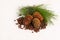 Unpeeled pine nut and pine cone on white background. Horizontal frame copy space