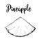 Unpeeled pineapple wedge, triangular slice, side view, isolated sketch vector illustration