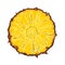 Unpeeled round pineapple slice, top view, sketch style vector illustration