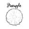 Unpeeled round pineapple slice, top view, sketch style vector illustration