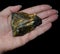 Unpolished Labradorite stone held in a woman\'s hand