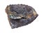 unpolished Vivianite (blue bog ore) rock isolated