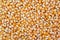 Unpopped popcorn background texture closeup