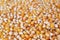 Unpopped popcorn background texture closeup.