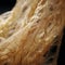 Unraveled Elegance: A Macro Glimpse into Frayed Beauty