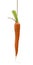 Unreachable goal - hanging carrot