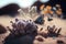 Unreal Beauty: A Cinematic Desert Adventure with Epic Ants and Butterflies