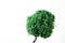 Unreal small green miniature of tree for design