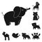 An unrealistic black animal icons in set collection for design. Toy animals vector symbol stock web illustration.