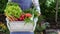 Unrecognisable female farmer holding crate full of freshly harvested vegetables in her garden. Homegrown bio produce concept.