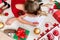 Unrecognisable girl writing letter to Santa on livingroom floor. Overhead view of a young girl writing her christmas wishlist.