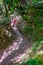 Unrecognisable mountain biker rides a canyon overgrown with moss that looks like a jungle, Massa Marittima, Tuscany