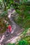 Unrecognisable mountain bikers ride a canyon overgrown with moss that looks like a jungle, Massa Marittima, Tuscany