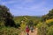 Unrecognisable mountain bikers ride on a firebreak trail over the beautiful landscape with its hills in Tuscany, Massa