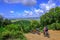 Unrecognisable mountain bikers ride on a firebreak trail over the beautiful landscape with its hills in Tuscany, Massa