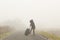 Unrecognisable woman, walking with suitcase in hand on a cold and foggy mountain road