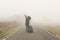 Unrecognisable woman, walking with suitcase in hand on a cold and foggy mountain road