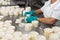 unrecognisable woman worker in gloves preparing the fresh cheese moulds for the excess water extraction process