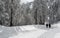 Unrecognised people walking frozen road in snow in winter. Troodos cyprus wintertime