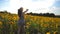 Unrecognizable beautiful girl running on yellow sunflower field and raising hands at sunset time. Happy young woman